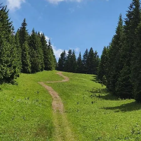 Apartman Olaf Kopaonik