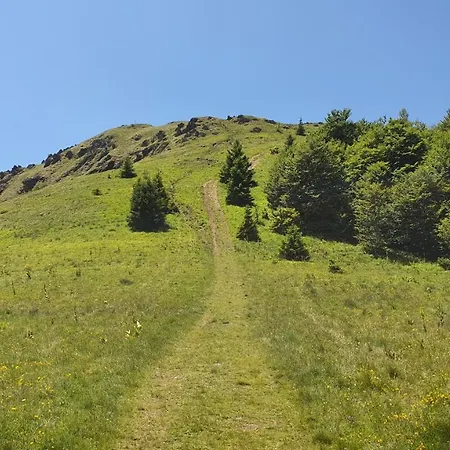 Apartman Olaf Apartmán Kopaonik