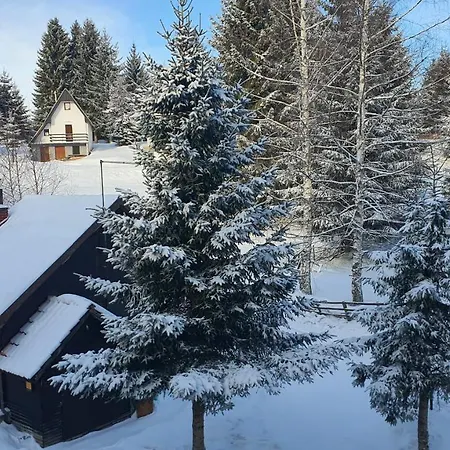 Apartman Olaf Kopaonik