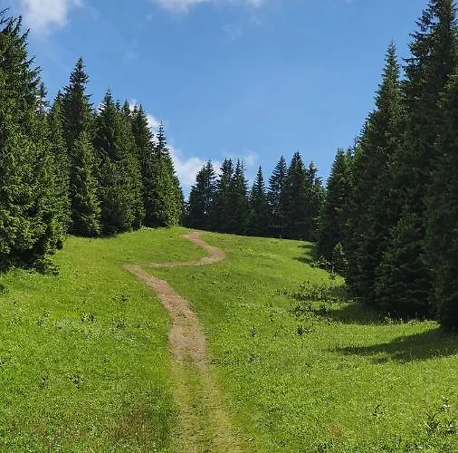 Apartman Olaf Kopaonik