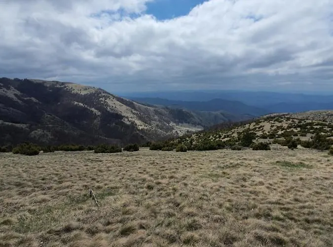 Apartman Olaf Apartman *