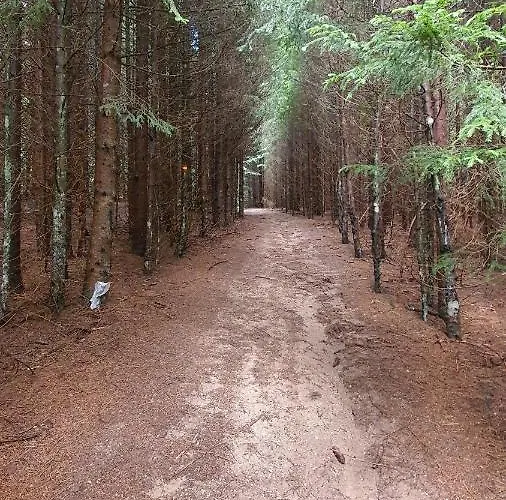 Apartman Olaf Apartman Kopaonik