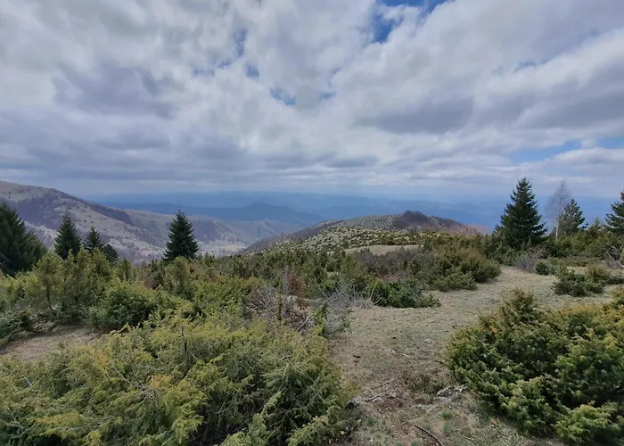 Apartman Apartman Olaf Kopaonik