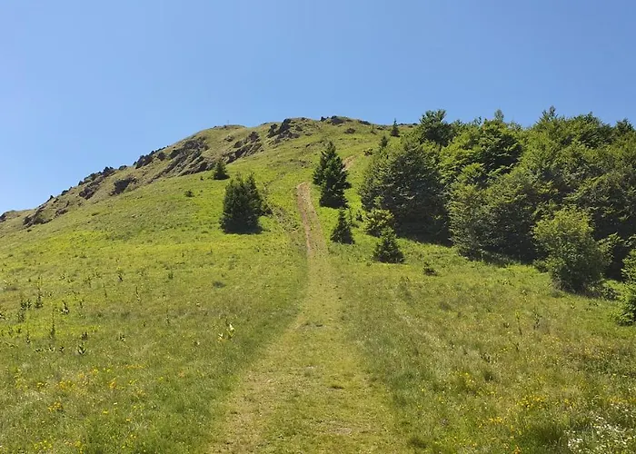 Apartman Olaf Apartman Kopaonik