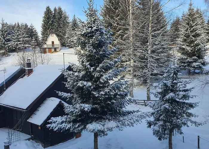 Apartman Olaf Kopaonik