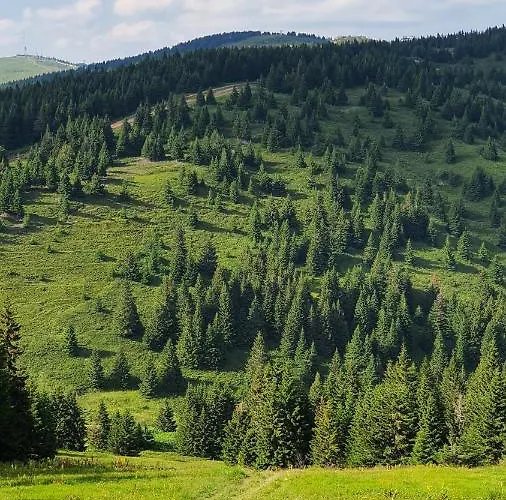 Apartman Olaf Apartman