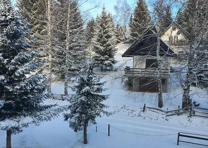 Apartman Olaf Apartman *